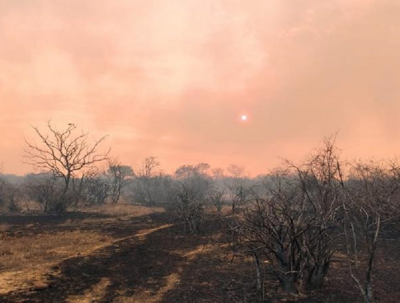 Incêndios em vegetação no Piauí dobraram em um ano; agosto já registrou 470 focos