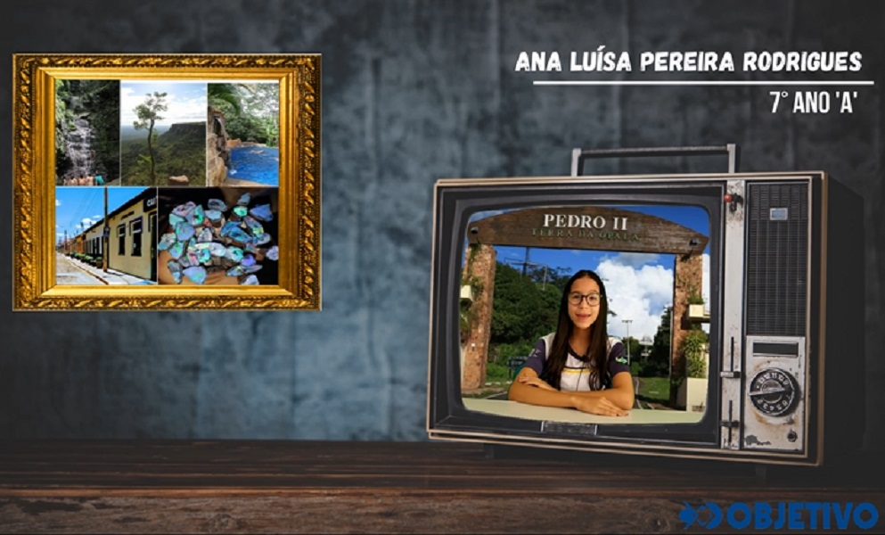 Alunos do Colégio Objetivo fazem boletim informativo sobre a Cidade de Pedro II; confira! 