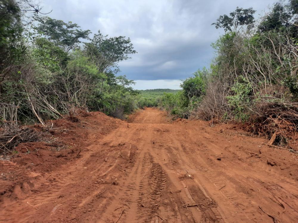 Oportunidade: Lotes à venda a partir de R$1.500 em Pedro II; não perca! 