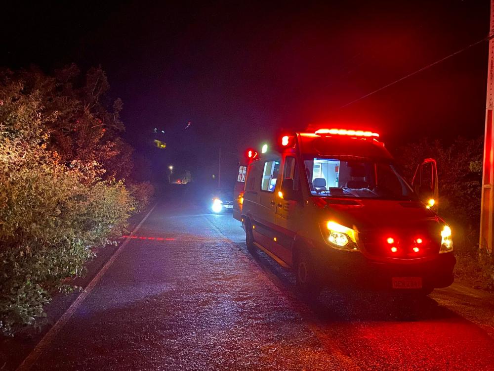 Motociclista fica ferido após colisão contra vaca, em Pedro II 
