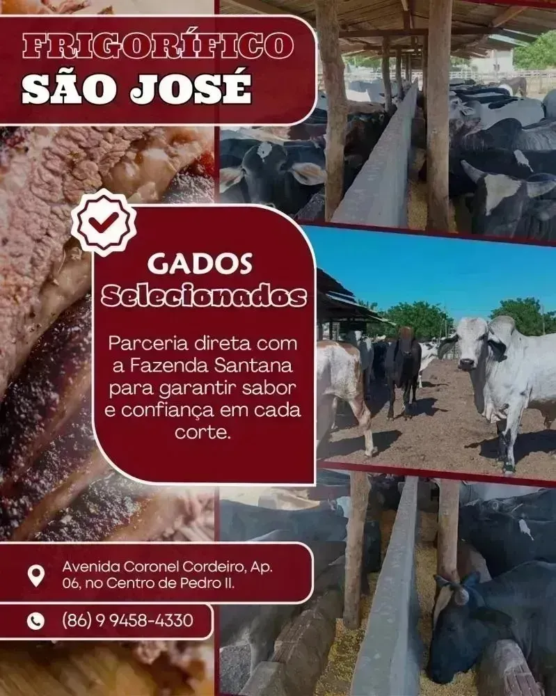 Quer carne de qualidade na sua mesa? O Frigorífico São José é o lugar certo!