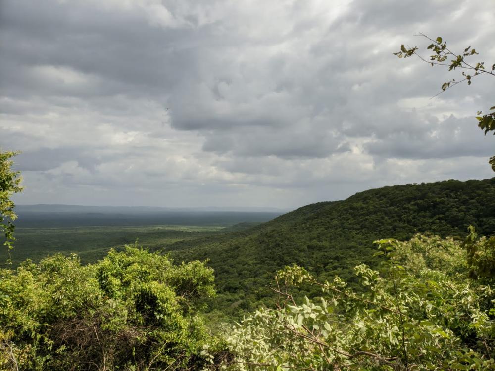 Participe do sorteio de um lote 10m X 30m no Loteamento Pitombeira em Pedro II; adquira já a sua cota!