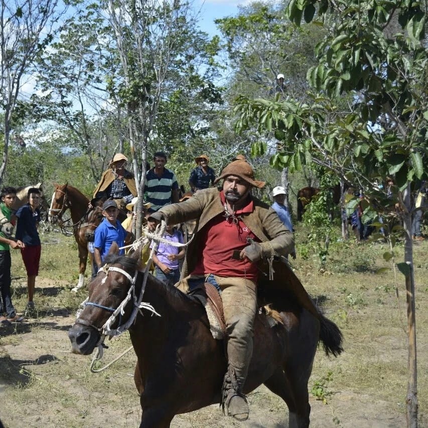 Pega de Boi no Mato, que será realizada no próximo sábado (28), celebra a profissão secular do vaqueiro na comunidade São Luís, em Pedro II
