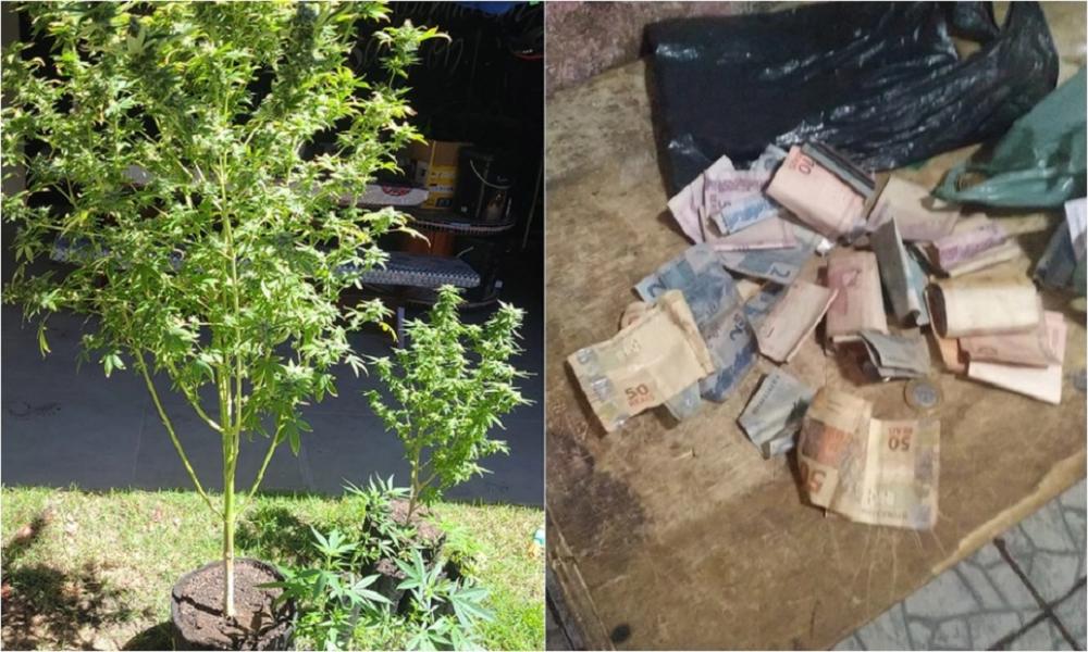 DEPRE prendeu 5 pessoas durante Operação Radar em Piripiri