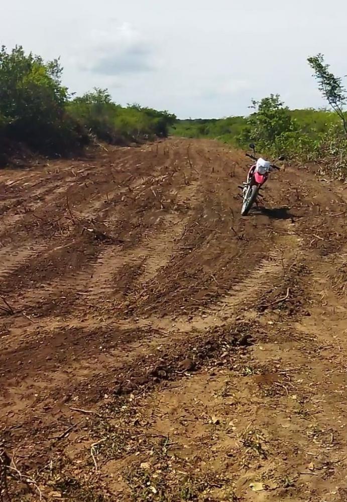 Lotes à venda na Localidade Terra Dura, próximo à zona urbana de Pedro II 