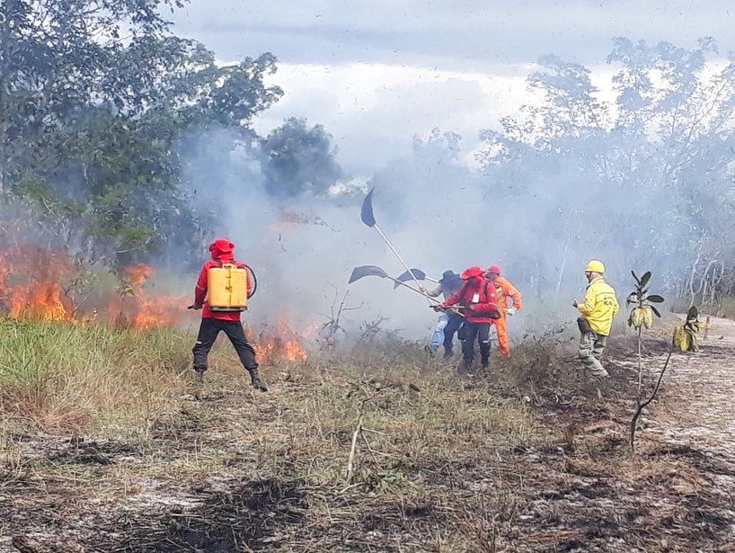 Brigadistas de incêndio de Lagoa de São Francisco participam de Formação com ICMBio