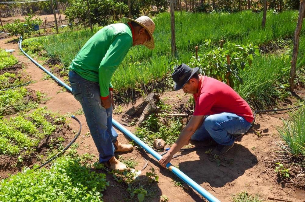 Lagoa de São Francisco realiza ações do Projeto de Valorização e Incentivo à Produção Sustentável 