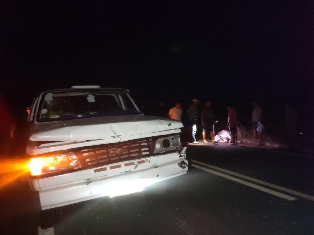 D20 colide com vacas na PI-216 em Pedro II, e animais morrem no local