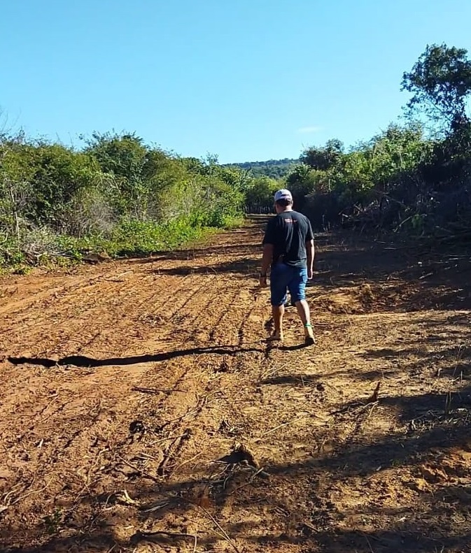 Lotes à venda na Localidade Terra Dura, próximo à zona urbana de Pedro II