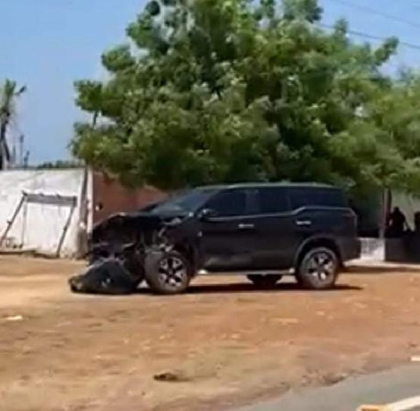 Carro colide contra jumento em trecho que liga Pedro II à Poranga