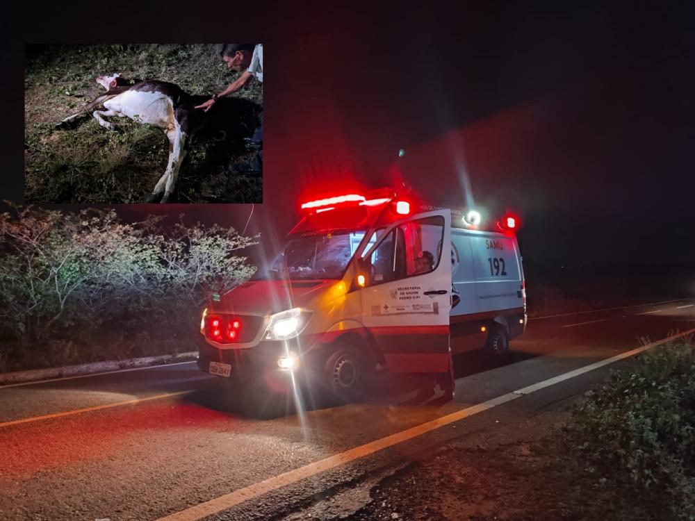 Motociclista fica ferido após colisão contra vaca na PI-216 em Pedro II