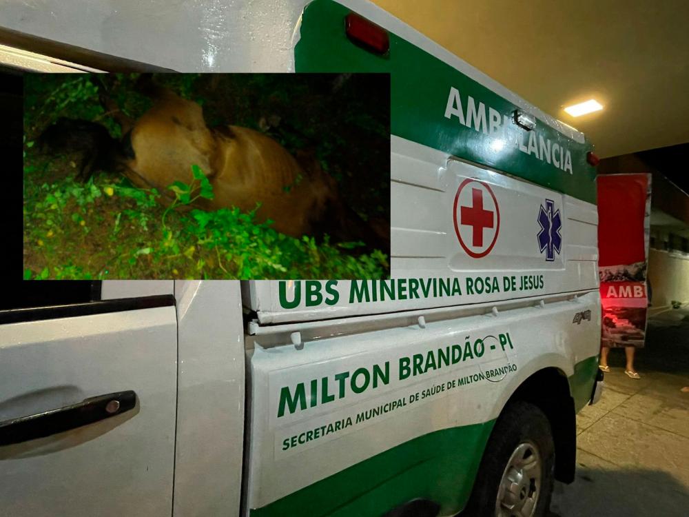 Adolescente de 16 anos morre após forte colisão contra animal em Milton Brandão, PI