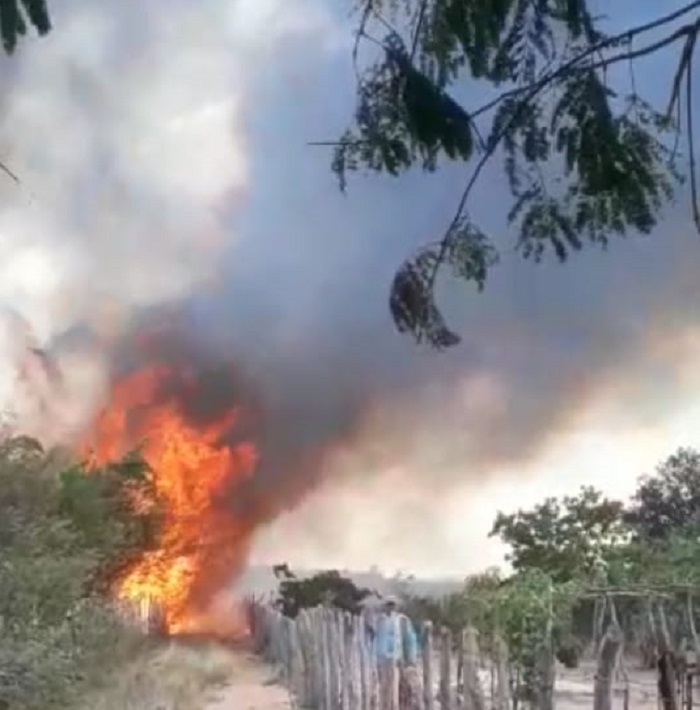 Incêndio assusta moradores na zona rural de Pedro II 