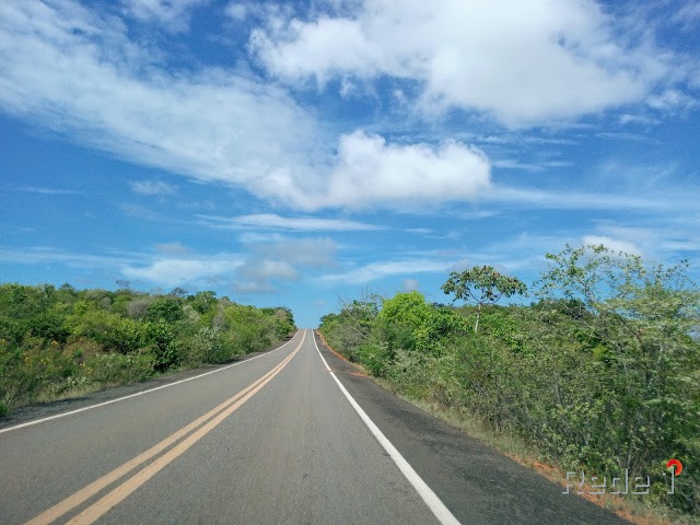 Antiga BR-404 que liga Pedro II a Piripiri agora é a PI-477, confirma DER