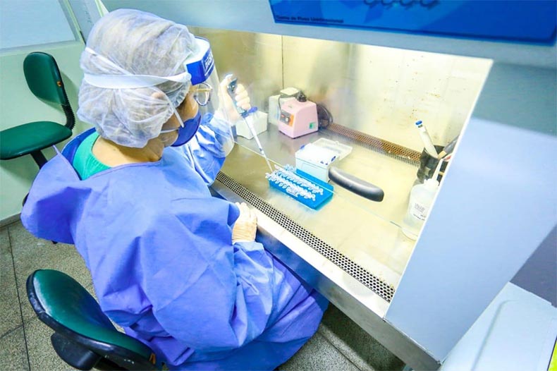 Relatório da FioCruz não detecta variante Delta no Piauí; 100 amostras foram analisadas