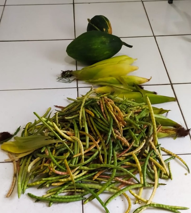 Polícia prende homem acusado de furtar roças e vender os produtos furtados em Pedro II