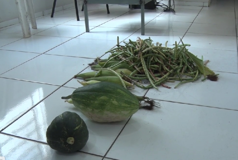 Polícia prende homem acusado de furtar roças e vender os produtos furtados em Pedro II; confira o relato de uma das vítimas!