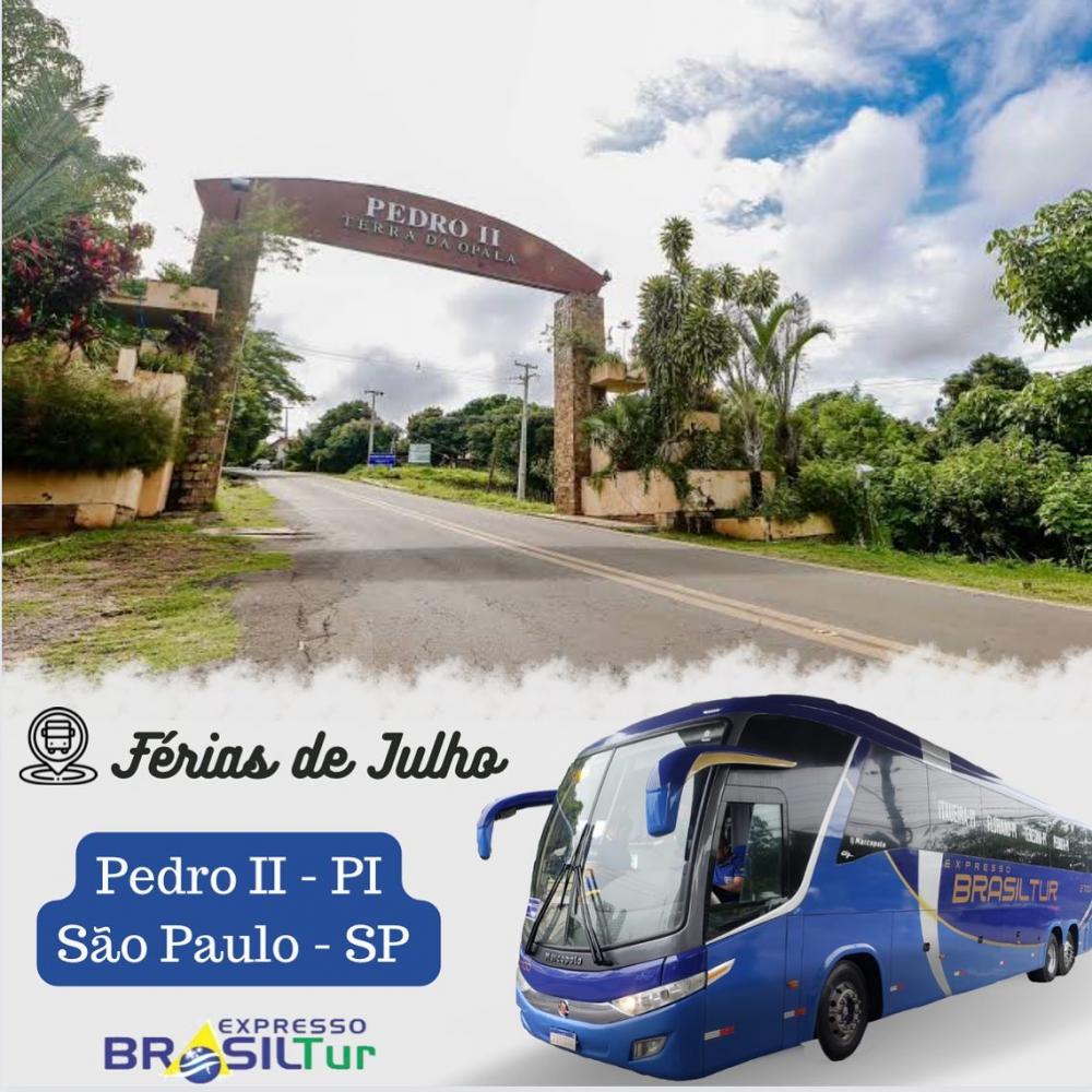 Viaje com tranquilidade e segurança da Brasil Tur; Viagens entre Piauí e São Paulo!