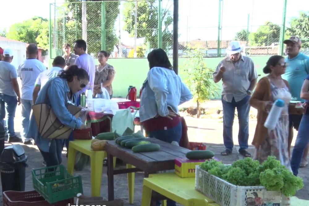 Feira Agroecologia dos Saberes e Sabores comemora 4 anos em Pedro II, em clima de festa; Confira! 