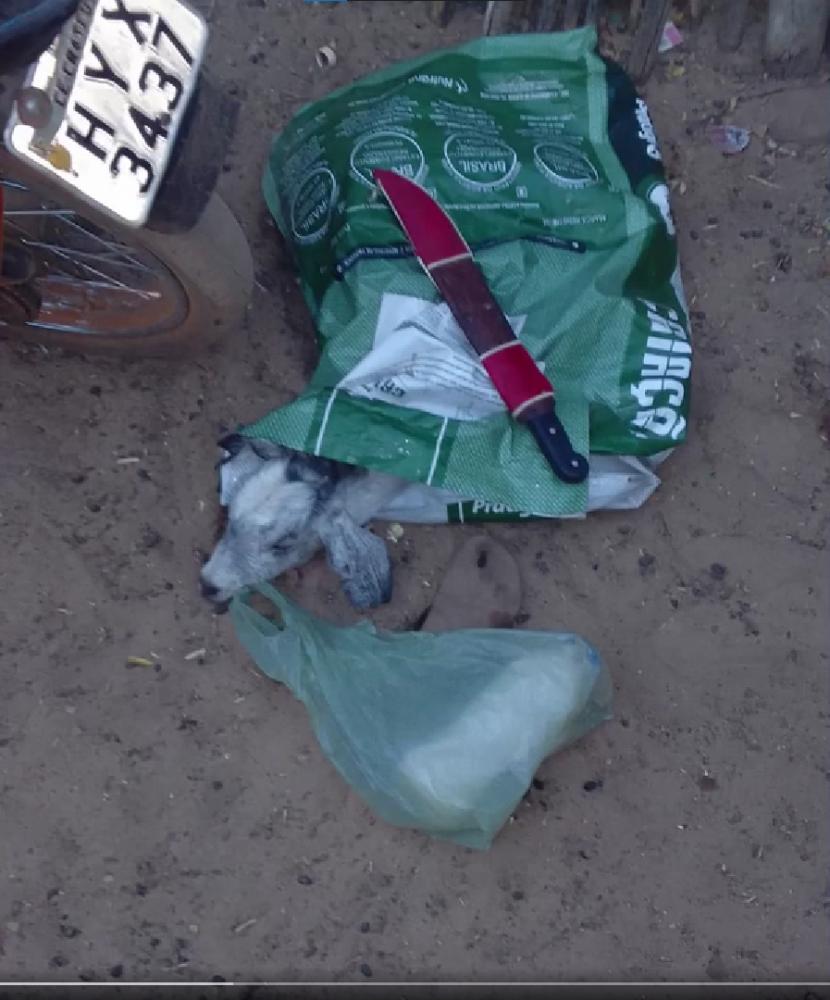 Plantão: Confira as ocorrências policiais registradas em Pedro II e Poranga durante o fim de semana.