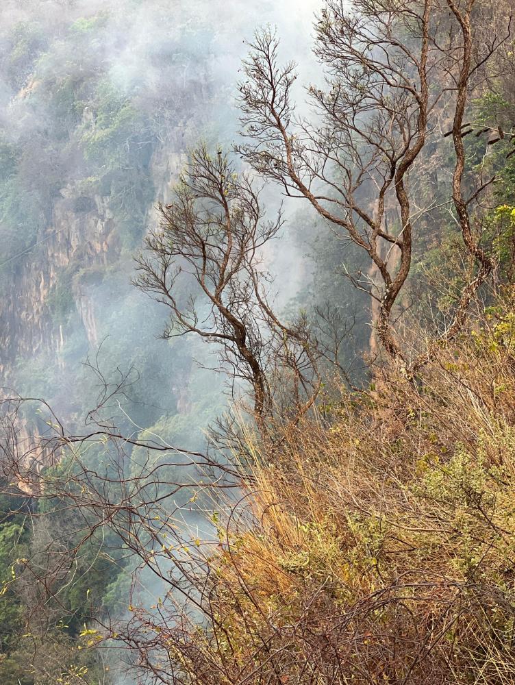 Incêndio possivelmente criminoso atinge região do mirante do Gritador, um dos principais pontos turísticos de Pedro II