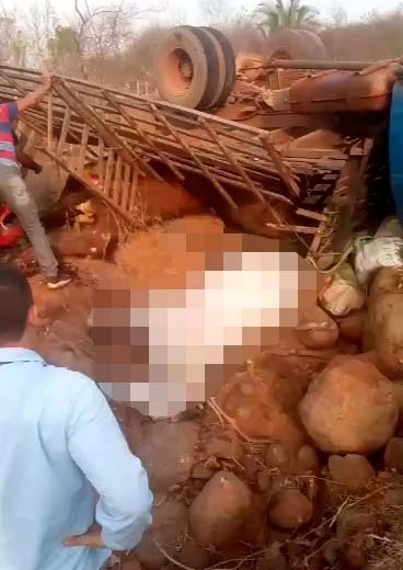 Caminhão tomba em ladeira entre Lagoa de São Francisco e Pedro II, cavalo que estava na carroceria não sobrevive