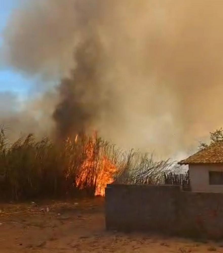 Incêndio de grandes proporções assusta moradores do Bairro São Francisco em Pedro II