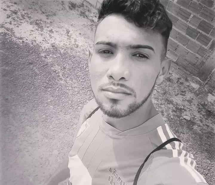 Jovem morre após ataque de abelhas enquanto trabalhava na zona rural de Pedro II