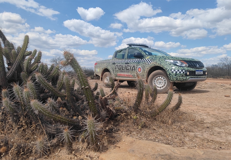 Após denúncias de ataques de onças a animais, PM e Ibama enviam especialistas para Domingos Mourão