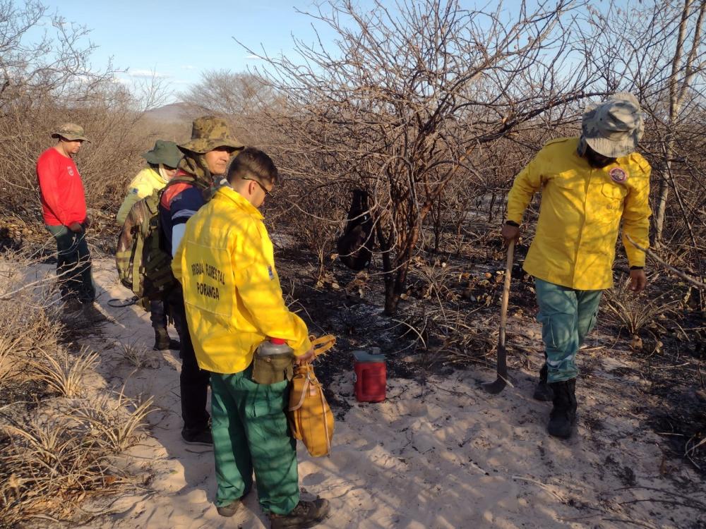 Idoso morre carbonizado durante incêndio florestal em Poranga