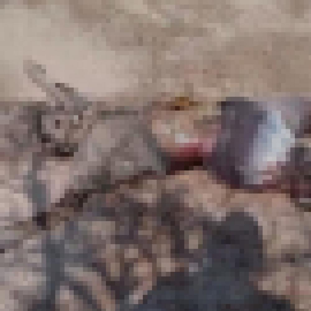 Corpo em avançado estado de decomposição é encontrado na Zona Rural de Pedro II