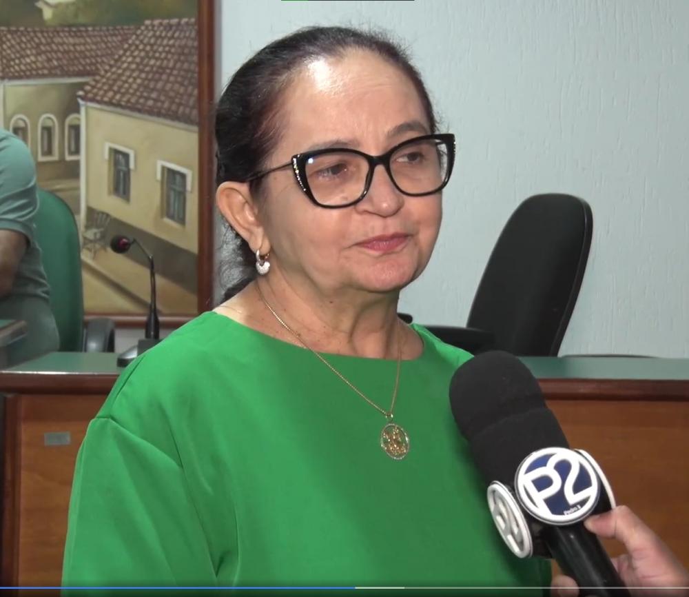 Audiência pública discute projeto de Parceria Público-Privada (PPP) para modernizar a iluminação pública do município de Pedro II; confira!