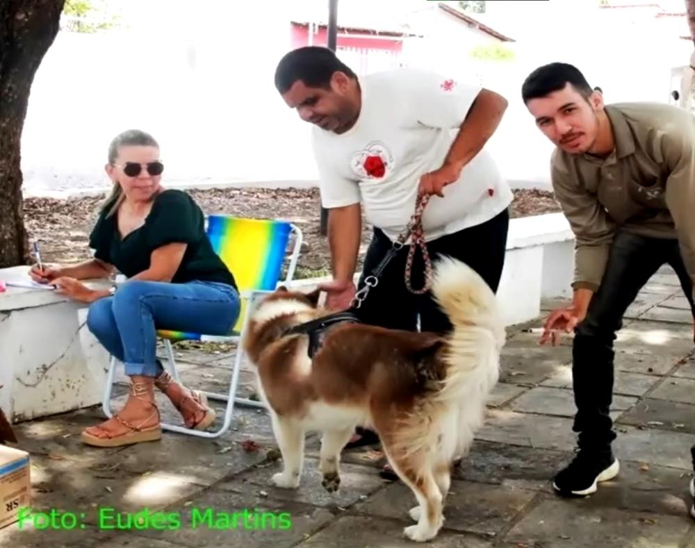 Coordenador de Endemias, Rubens Galvão, avalia o resultado da campanha antirrábica realizada em Pedro II