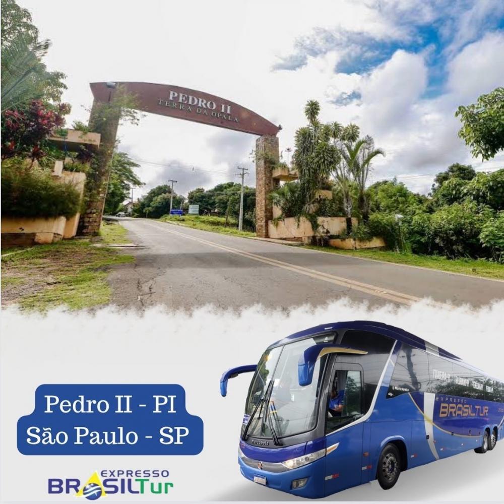 Faça suas viagens entre Piauí e São Paulo com conforto e segurança na Brasil Tur!