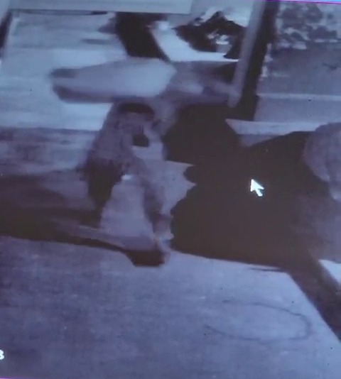 Câmeras de segurança flagram homem furtando 50Kg de feijão no Calçadão da João Matias em Pedro II