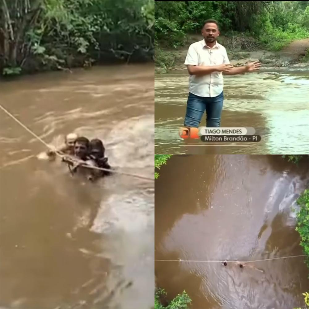 Vídeo de crianças atravessando rio amarradas e segurando em corda para ir à escola em Milton Brandão é destaque no Globo Rural Nacional