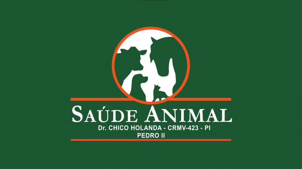 Cuide com Carinho: Saúde e Bem-Estar dos seus Pets na Saúde Animal de Pedro II!