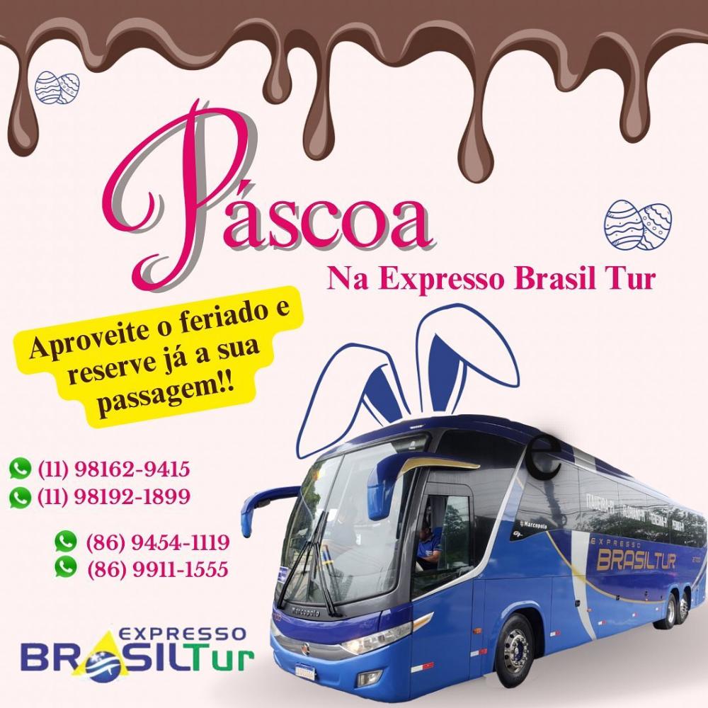 Planejando sua viagem de páscoa? Venha para a Brasil Tur e viaje com conforto e segurança!