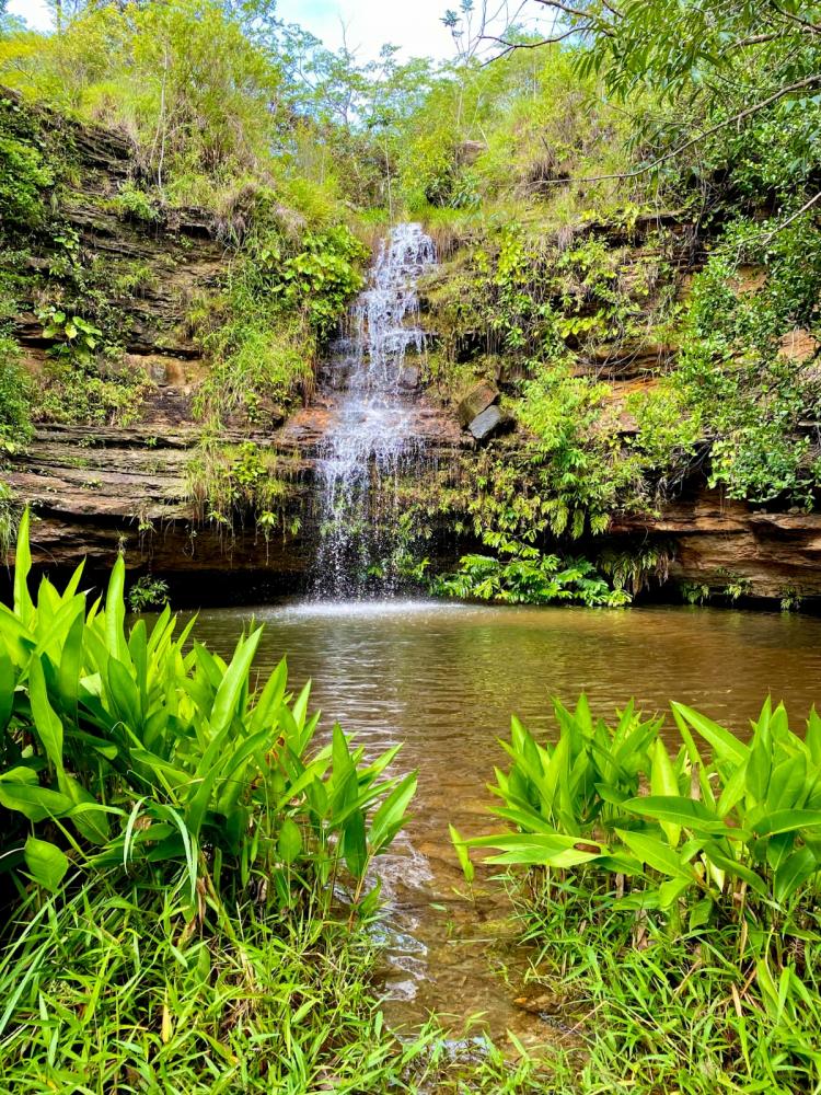Dicas de Passeio: Cachoeira do Buriti em Pedro II