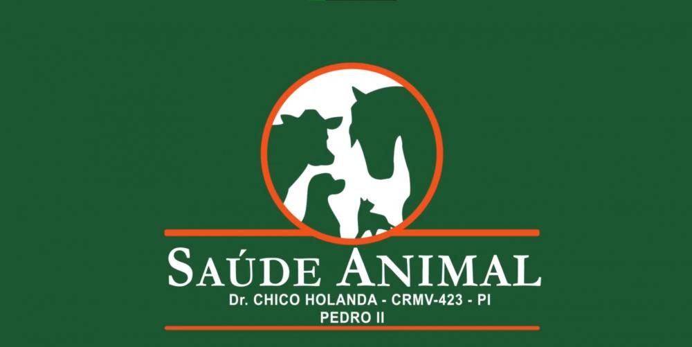 Venha para Saúde Animal de Pedro II e garanta ao seus Pets o cuidado que eles merecem!