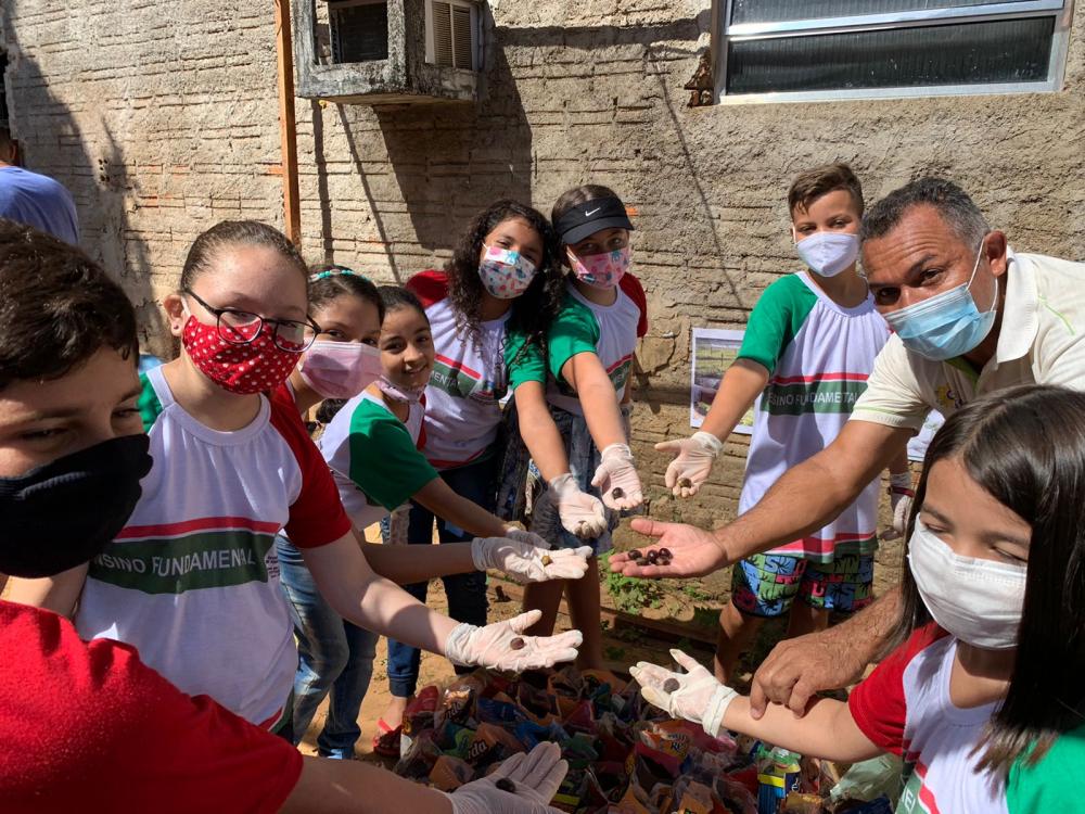 “Lagoa mais Verde”: Lagoa de São Francisco inicia projeto de reflorestamento 