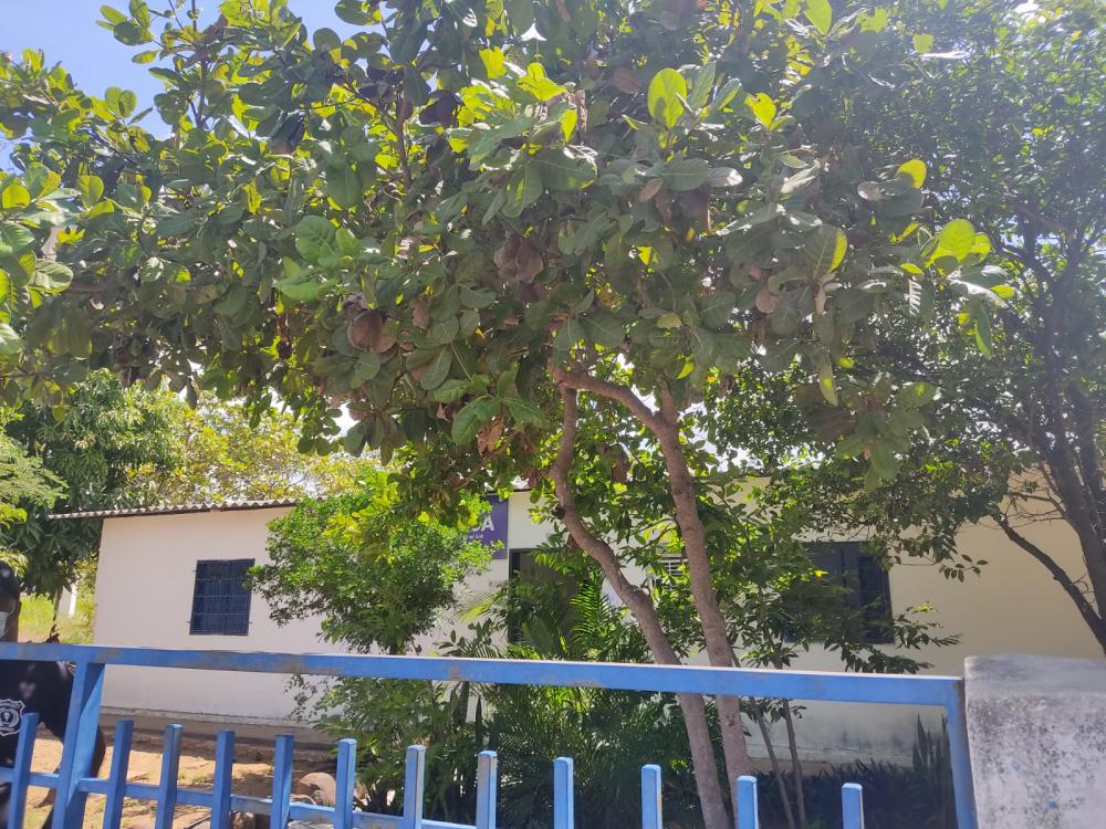 Agespisa passa a exigir “passaporte de vacinação” para atendimento presencial em Pedro II e demais cidades do estado