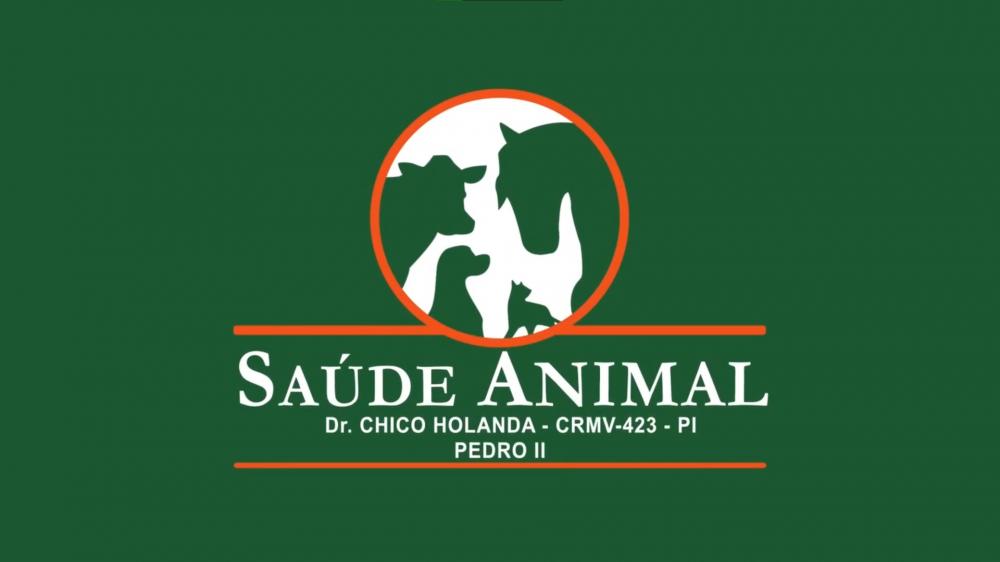 Dê ao seu pet os cuidados que ele merece na farmácia e clínica veterinária Saúde Animal de Pedro II!