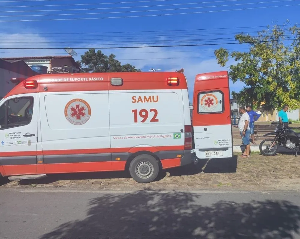 Motociclista fica ferido após colidir contra cachorro em Pedro II