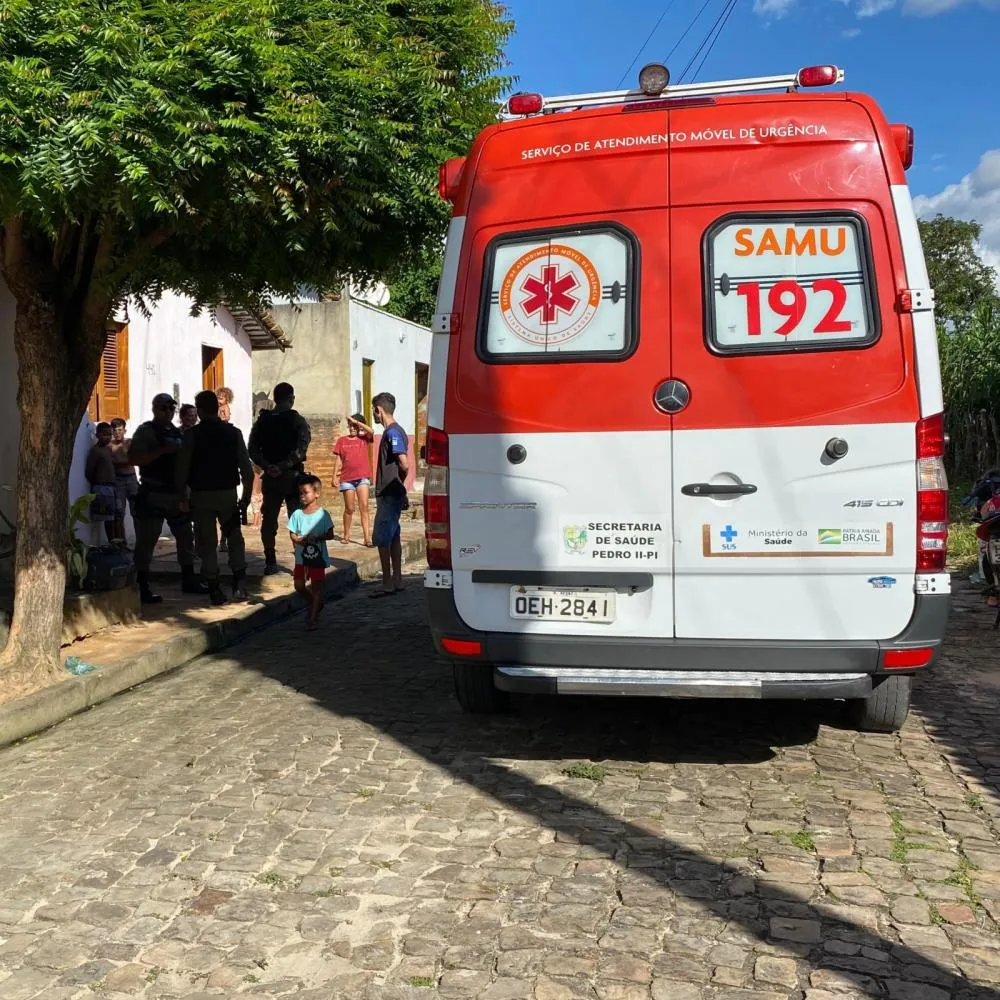 Adolescente ataca homem com golpe de machado em Pedro II