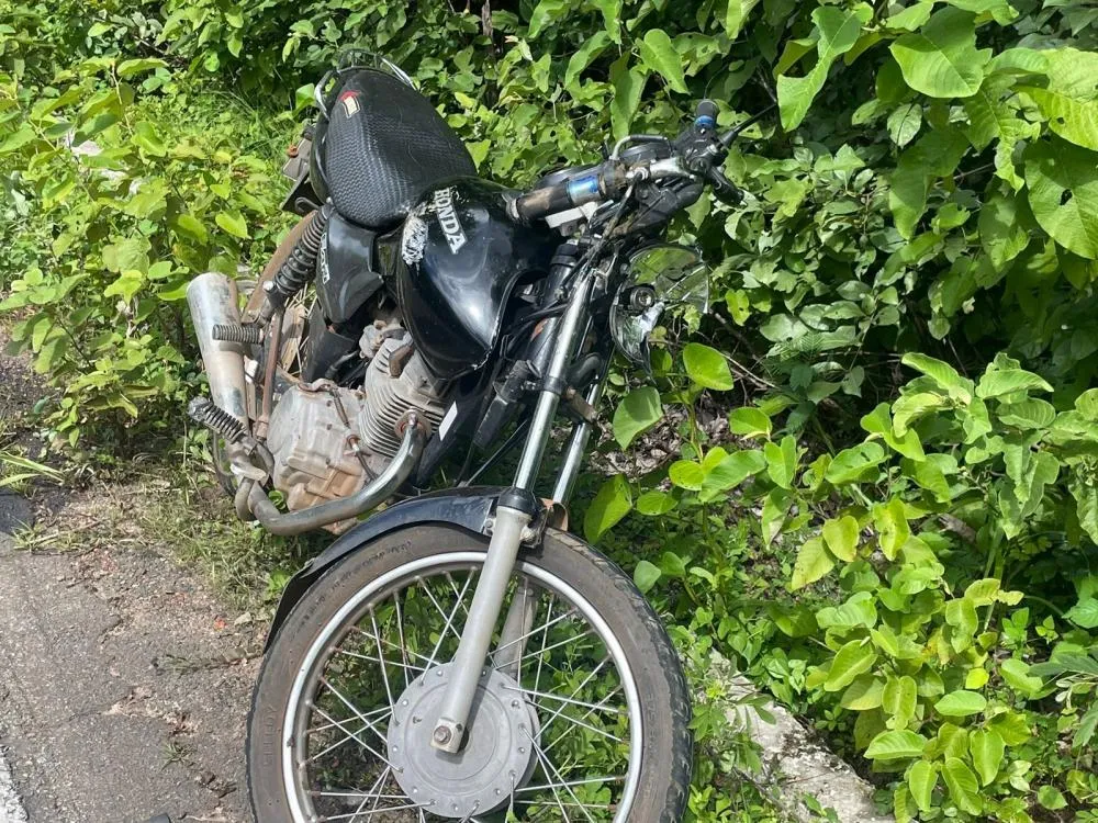 Pai e filho sofrem graves ferimentos após colisão entre motocicleta e vaca na PI-477 em Pedro II