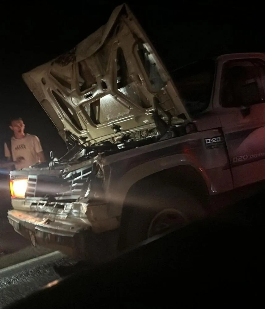 D20 colide com vaca na PI-477 em Pedro II