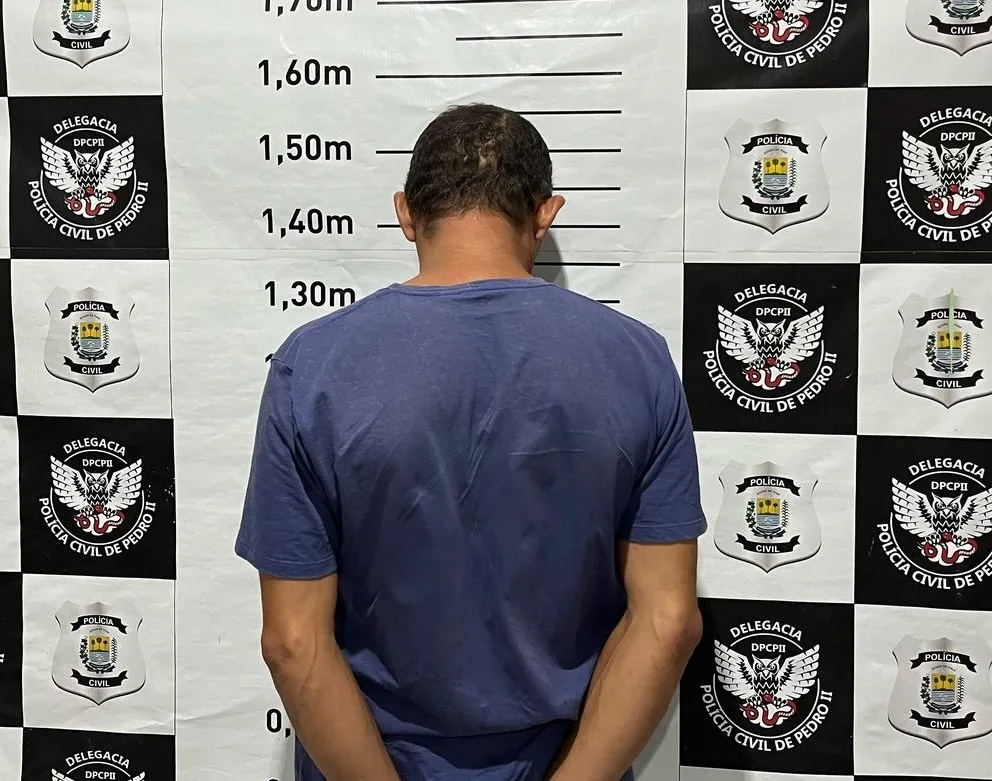 Polícia Civil de Pedro II cumpre mandado de prisão por homicídio em Domingos Mourão