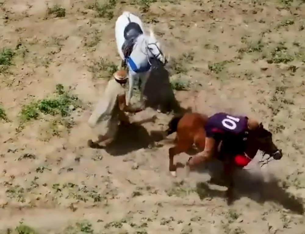 7ª Edição da "Pega de Boi" no mato na Localidade São Luís, Zona Rural de Pedro II acontecerá no próximo sábado, dia 25.