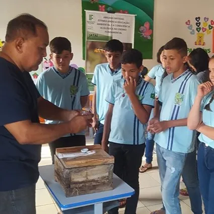 IFPI de Pedro II realiza Projeto de Extensão com uso de Abelhas Nativas